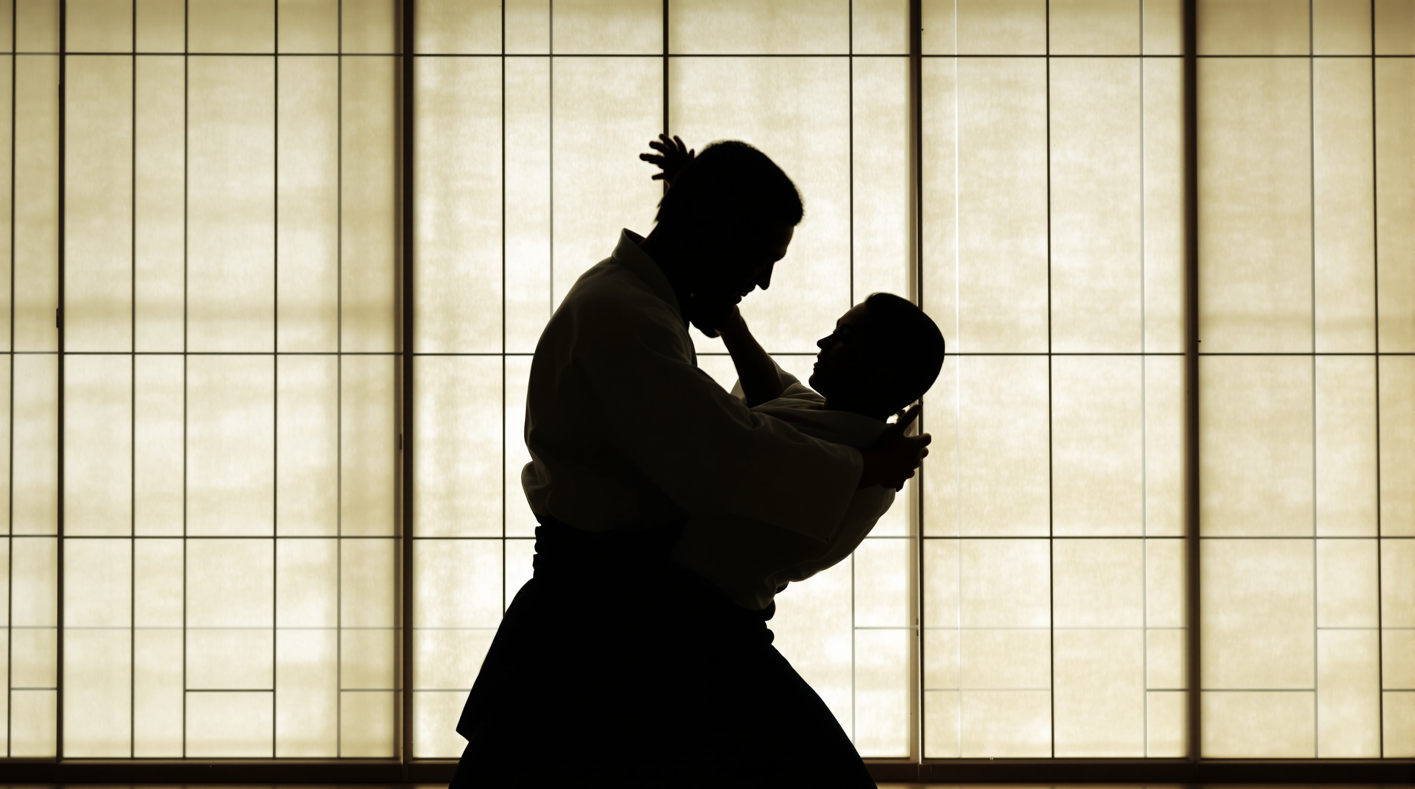 Aikido practitioners blending in circular motion, backlit against a bright paper window